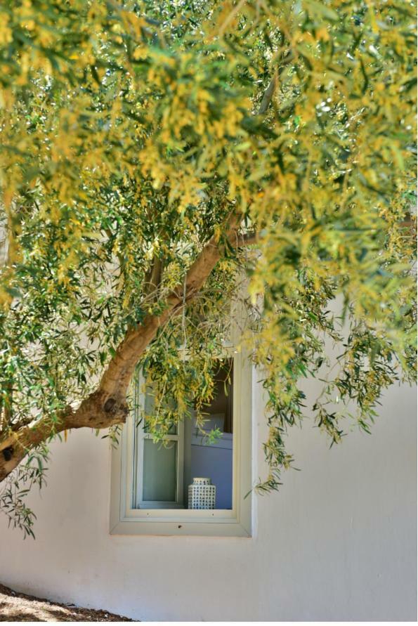 Douskos Beach House Apartment Hydra  Exterior photo